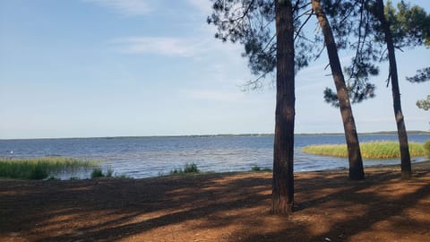 Beach nearby, sun loungers