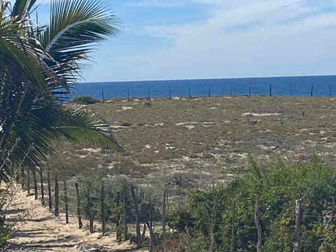 On the beach, sun loungers, beach towels