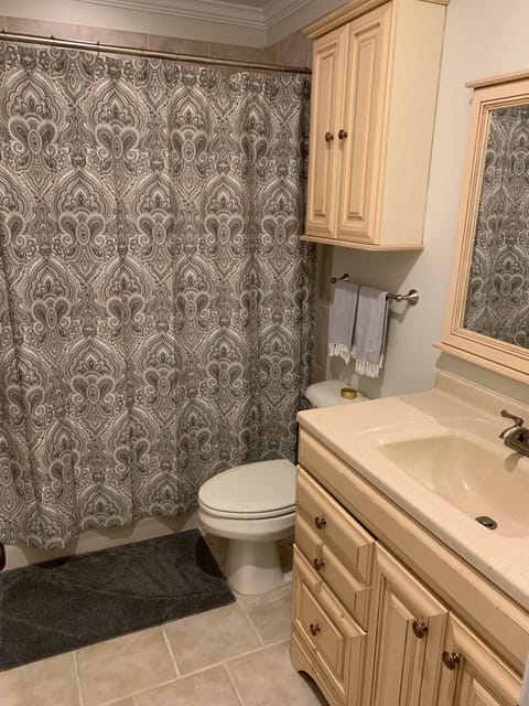 Combined shower/tub, hair dryer, towels, soap