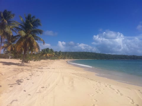 Beach nearby, sun loungers, beach towels