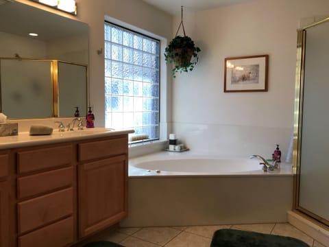 Bathtub, hair dryer, towels