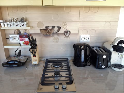 Fridge, microwave, coffee/tea maker, electric kettle