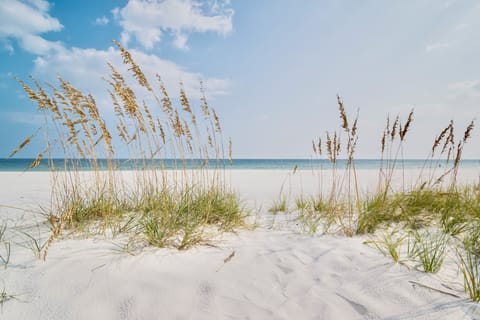 Beach nearby