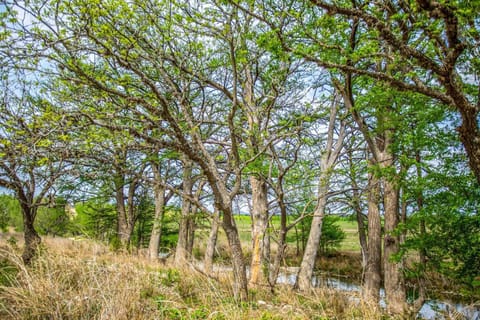 Private access to the Medina River is one of the many things that really sets the Hideaway apart!