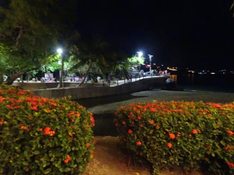 Beuatiful  lighted walkway along the beach