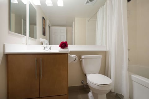 Combined shower/tub, hair dryer, towels