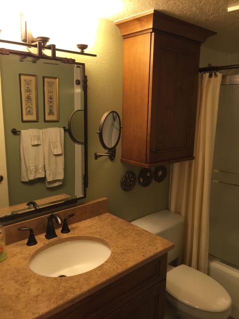 Combined shower/tub, hair dryer, towels, toilet paper