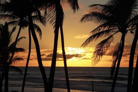 On the beach