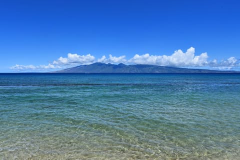 On the beach, sun loungers, beach towels