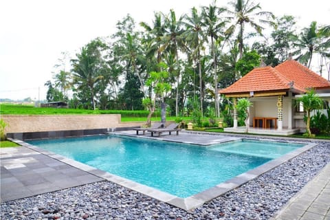 Outdoor pool, an infinity pool