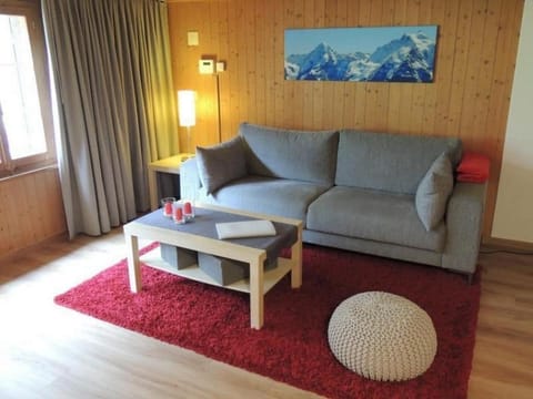 Living room with comfortable sofa