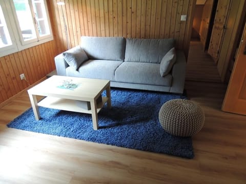 Living room with comfortable sofa