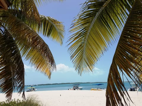 Sun loungers, beach towels