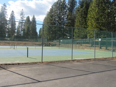 Sport court