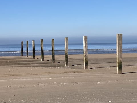 On the beach