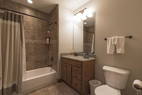 Combined shower/tub, hair dryer, towels