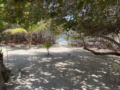 Beach nearby, sun loungers, beach towels