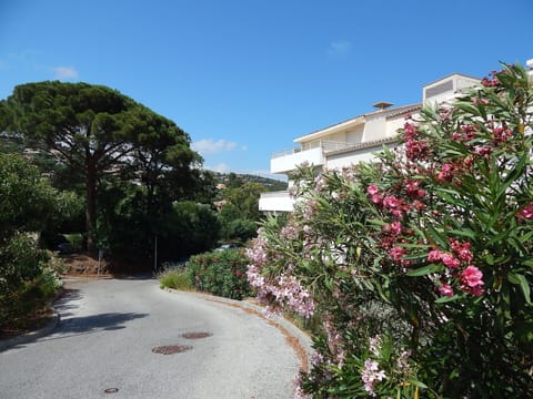 Plant, Flower, Building, Sky, Plant Community, Cloud, House, Tree, Petal, Woody Plant