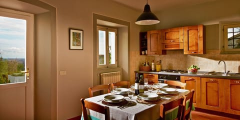 The big kitchen with views over olive grove, fields, Pisa and Leaning Tower.