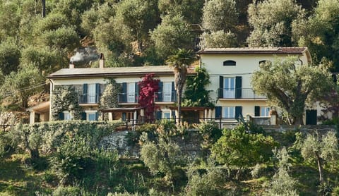 Front of house in olive grove setting with views of The Leaning Tower of Pisa !