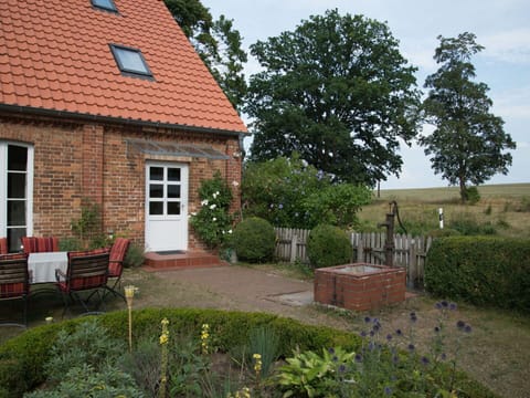 Plant, Sky, Building, Window, Tree, House, Land Lot, Cottage, Brick, Grass