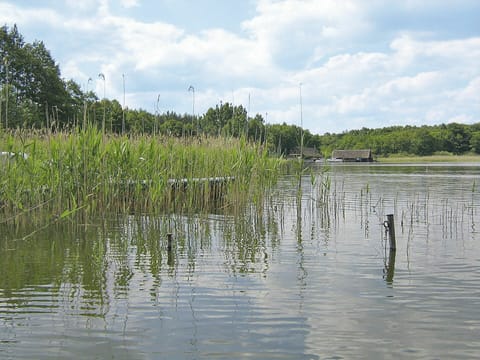 Water, Sky, Cloud, Plant, Natural Landscape, Tree, Lake, Watercourse