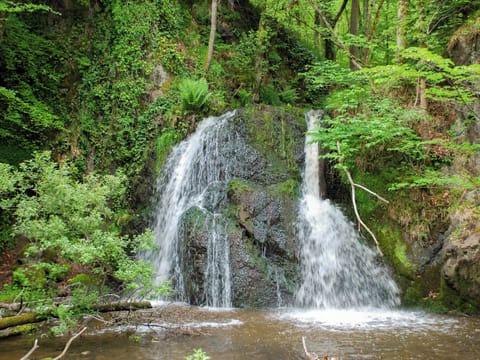 Fairy Glen Waterfall