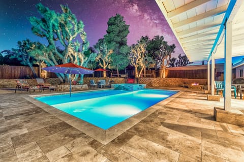 Imagine yourself stargazing while floating underneath the Joshua Trees!