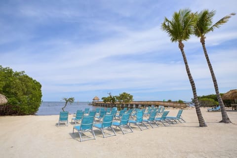 Sun loungers, beach towels