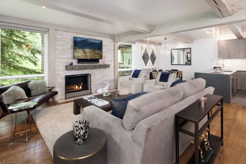 Summit 204 Living Room