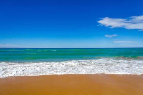 Beach | Sun loungers