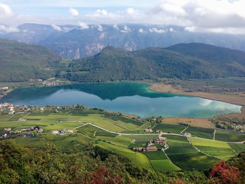 Wood, Lighting, Interior Design, Flooring, Floor, Living Room, Real Estate, Hardwood, Table, Beam