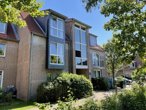 Building, Window, Residential Area, House, Home, Shrub, Facade, Neighbourhood, Roof