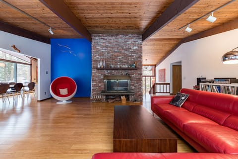 Living area | TV, fireplace, video games, toys