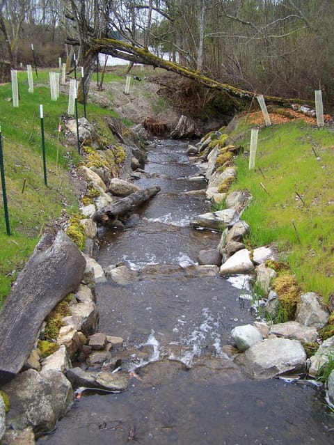 Restoring historic salmon runs to Fish Trap Creek. Part of our ongoing efforts.