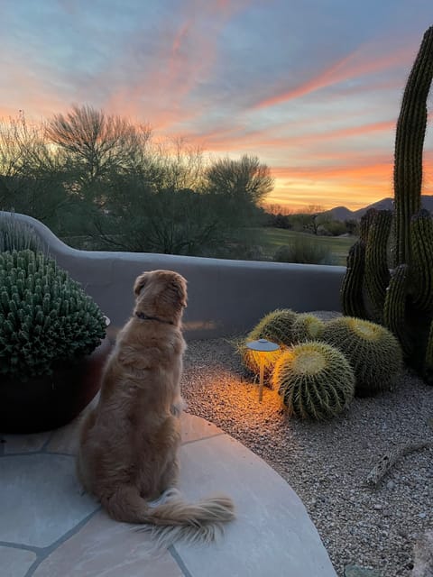 Ryder takes in another epic sunset at Guggenhaus. Photo courtesy of Billy L.
