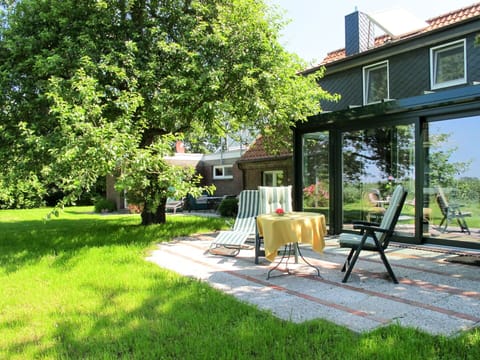 Property, Yard, Grass, House, Backyard, Tree, Lawn, Real Estate, Home, Building
