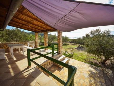 Plant, Property, Plant Community, Shade, Table, Botany, Sky, Wood, Tree, Interior Design