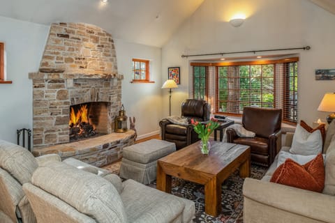 TV, fireplace, books