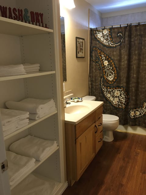 Bathtub, hair dryer, towels, soap