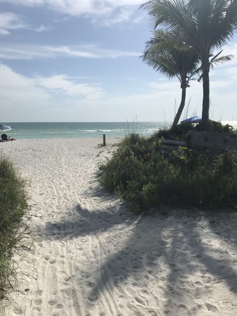 Beach nearby, sun loungers, beach towels