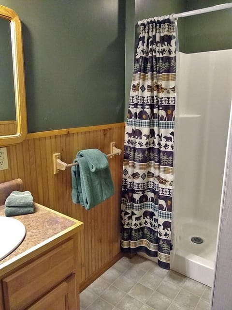 Combined shower/tub, hair dryer, towels