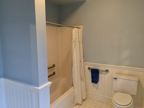 Combined shower/tub, hair dryer, towels, toilet paper