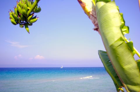 On the beach, sun loungers, beach towels