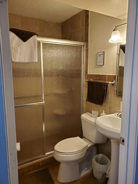 Combined shower/tub, hair dryer, towels, soap