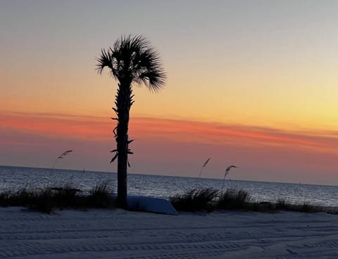 Beach nearby, sun loungers, beach towels