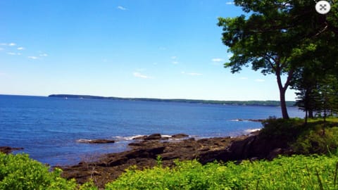 Beach nearby, beach towels