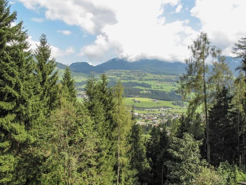 Vegetation, Tropical And Subtropical Coniferous Forests, Nature, Mountainous Landforms, Tree, Natural Environment, Nature Reserve, Natural Landscape, Wilderness, Forest