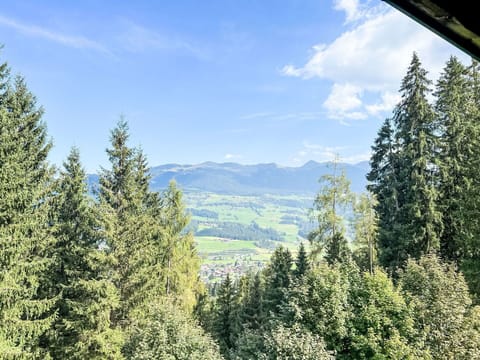 Tree, Green, Mountainous Landforms, Natural Environment, Forest, Mountain, Wilderness, Highland, Hill Station