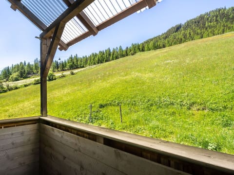 Plant, Sky, Daytime, Property, Plant Community, Ecoregion, Leaf, Natural Environment, Tree, Wood